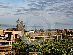 Summer foggy morning in a village in Siberia in Omsk