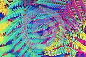 Summer forest fern leaf closeup. Forest floor psychedelic digital illustration. Multicolored fern leaves natural pattern