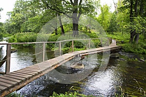 Summer forest landscape witht he wooden bridge photo