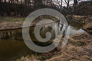 Summer Forest River Lake