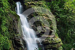 Summer forest waterfall