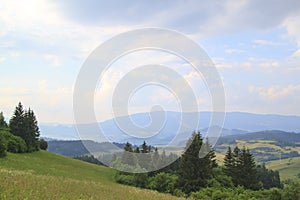 Summer forrest, meadows and fields countryside landscape in Slov