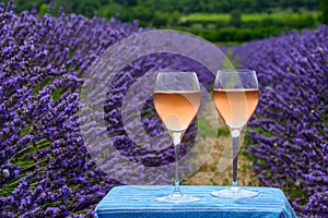 Summer in French Provence, cold gris rose wine from Cotes de Provence and blossoming colorful lavender fields on Valensole plateau