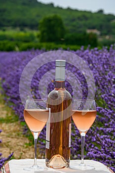 Summer in French Provence, cold gris rose wine from Cotes de Provence and blossoming colorful lavender fields on Valensole plateau