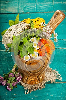 Summer fresh medicinal herbs on the wooden background.