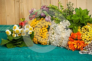 Summer fresh medicinal herbs on the wooden background.