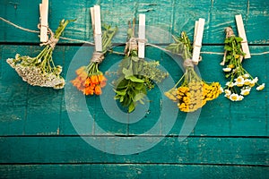 Summer fresh medicinal herbs on the wooden background.