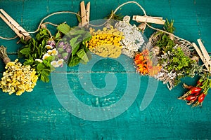 Summer fresh medicinal herbs on the wooden background.