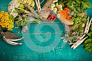 Summer fresh medicinal herbs on the wooden background.