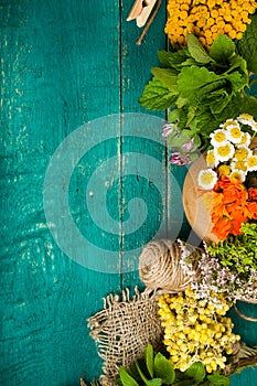 Summer fresh medicinal herbs on the wooden background.