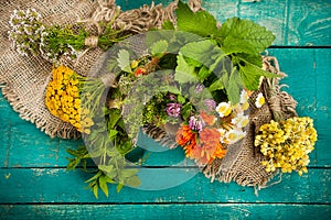 Summer fresh medicinal herbs on the wooden background.