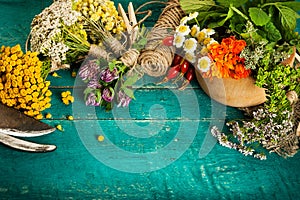 Summer fresh medicinal herbs on the wooden background.