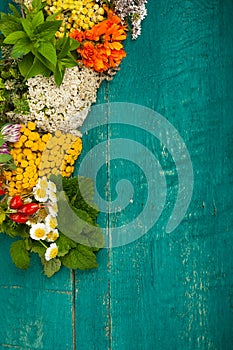 Summer fresh medicinal herbs on the wooden background.