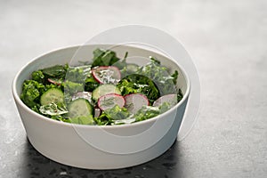 Summer fresh salad with radish, cucumber and herbs in white bowl