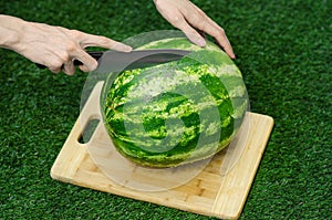 Summer and fresh watermelon topic: human hand with a knife beginning to cut a watermelon on the grass on a cutting board