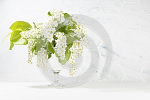 Summer fresh white flowers of blooming bird cherry branch, young green leaves in vase, copy space, closeup. Soft white interior.