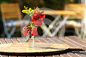 Summer freshness with quince bouquet, sitting in the garden