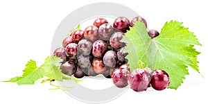 Bunch of fresh grapes with leaves and water drops isolated on white with clipping path