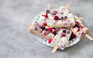 Summer fruits and berry homemade lolly pops ice cream. Group of