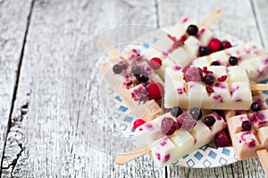 Summer fruits and berry homemade lolly pops ice cream. Group of