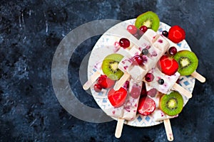 Summer fruits and berry homemade lolly pops ice cream. Group of