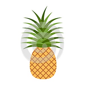 Summer fruits for healthy lifestyle. Pineapple fruit. Vector illustration cartoon flat icon isolated on white