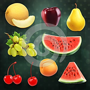 Summer fruits illustrations