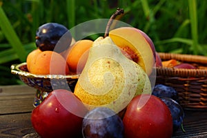 Summer fruits: pear, peach, plum, apricot.