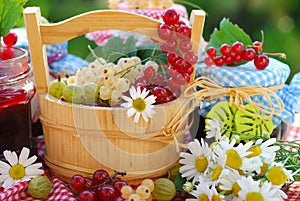 Summer fruits and preserves in the garden