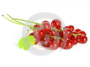 Summer fruits: Redcurrant photo