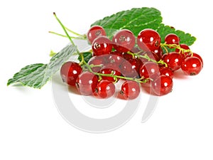 Summer fruits: Redcurrant