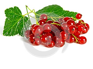 Summer fruits: Redcurrant photo