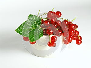 Summer fruits: Redcurrant