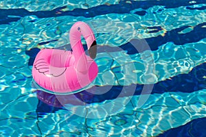 Summer fun beach. Pink inflatable flamingo in pool water for summer beach background. Funny bird toy for kids