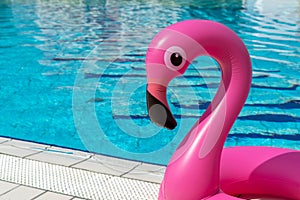 Summer fun beach. Pink inflatable flamingo in pool water for summer beach background. Funny bird toy for kids