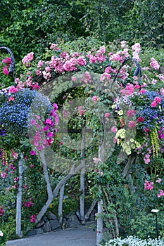 Summer garden archway