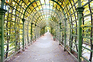 Summer garden in autumn. Long Gazebo