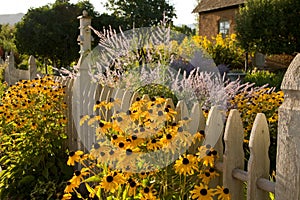 Summer Garden and Country Cottage