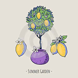 Summer garden lemon fruit with flowers, modern cartoon greeting card