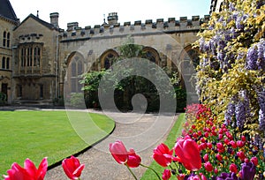 Summer garden Oxford College