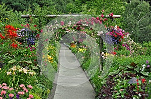 Summer garden path