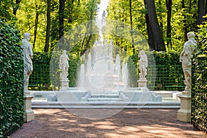 Summer Garden, St. Petersburg photo