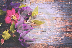 Summer Garden Vintage Flowers Old wooden background. Toned.