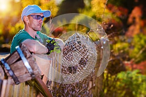 Summer Garden Work