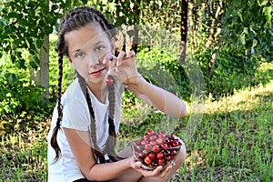 in summer garden young cute girl with pigtails in white T-shirt holds glass vase with ripe cherries and brings one berry to her