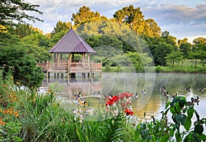 Summer Gazebo on Lake in Vienna VA