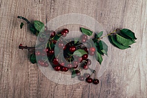 Summer gifts. a fresh branch of a cherry tree with green leaves and red fruits, cherries lying on a wooden table, on a wooden back