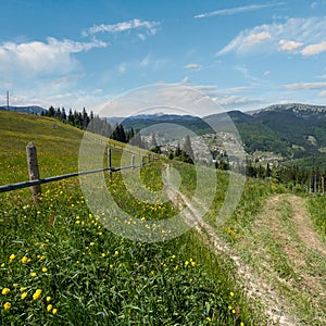 Summer Gorgany massiv mountains scenery view from Sevenei hill (near Yablunytsia pass, Carpathians, Ukraine