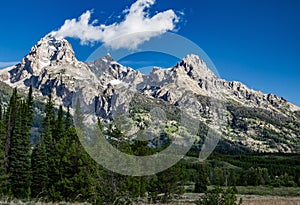 Summer in the Grand Tetons