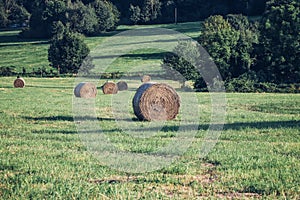 Summer grass cutting and hay drying with modern tools. Agriculture and farm